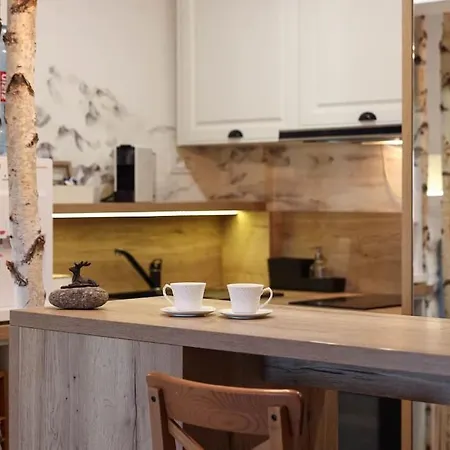 شقة Tiny براشوف