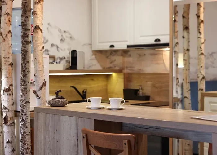 Апартаменти Tiny Брашов